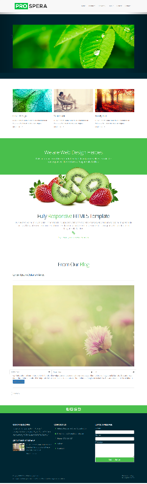 we are uploading preview image of ayurvedic1